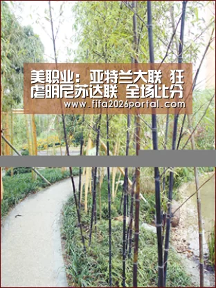 美职业: 亚特兰大联 狂虐明尼苏达联 全场比分3:0“球队资讯”(图3) 世界杯赛程