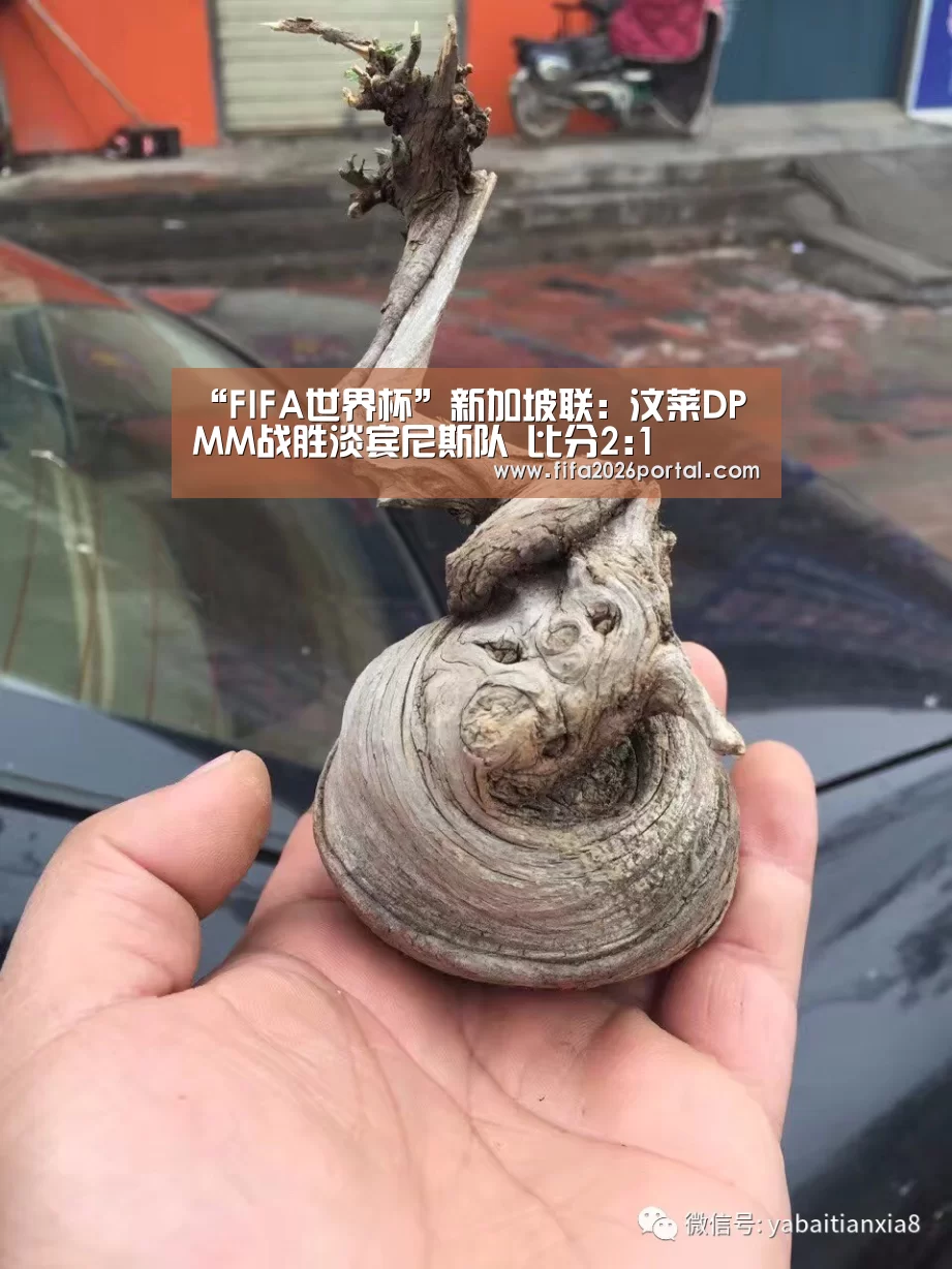 球队资讯